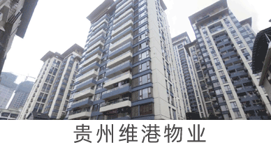 貴州維港物業(yè)